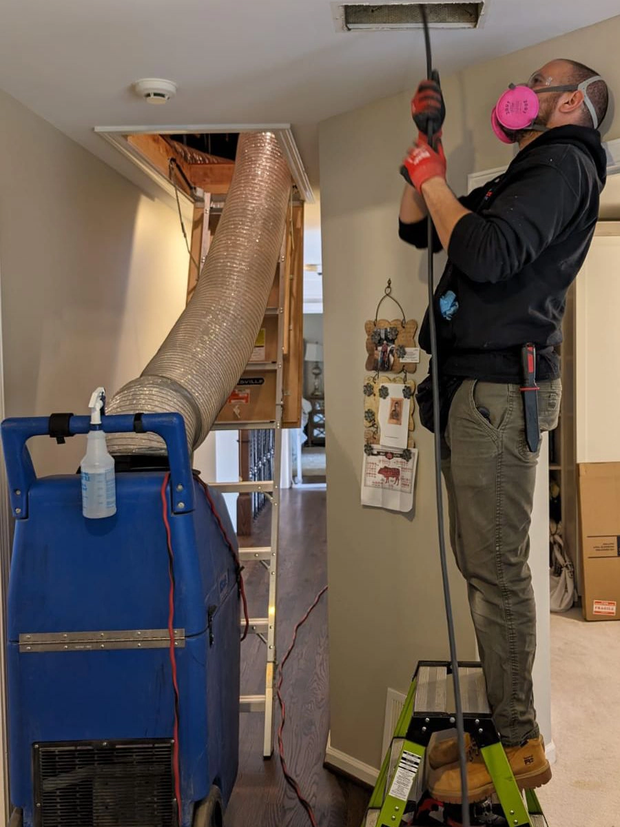 Deep Cleaning